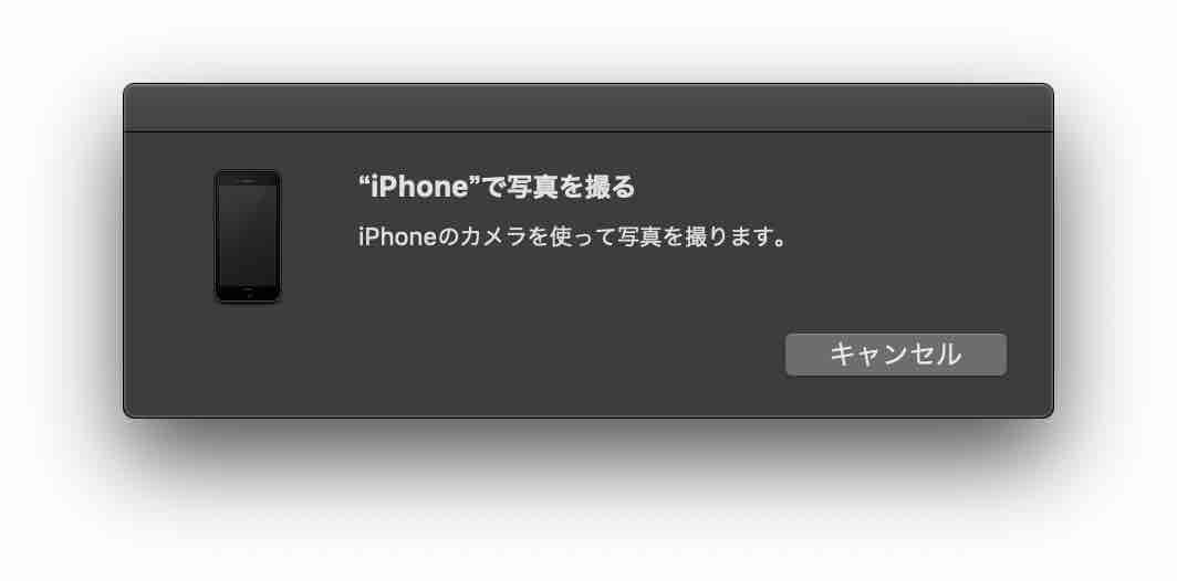 iPhoneで撮影していることを完了するまで待っている画面、キャンセルできることもわかる