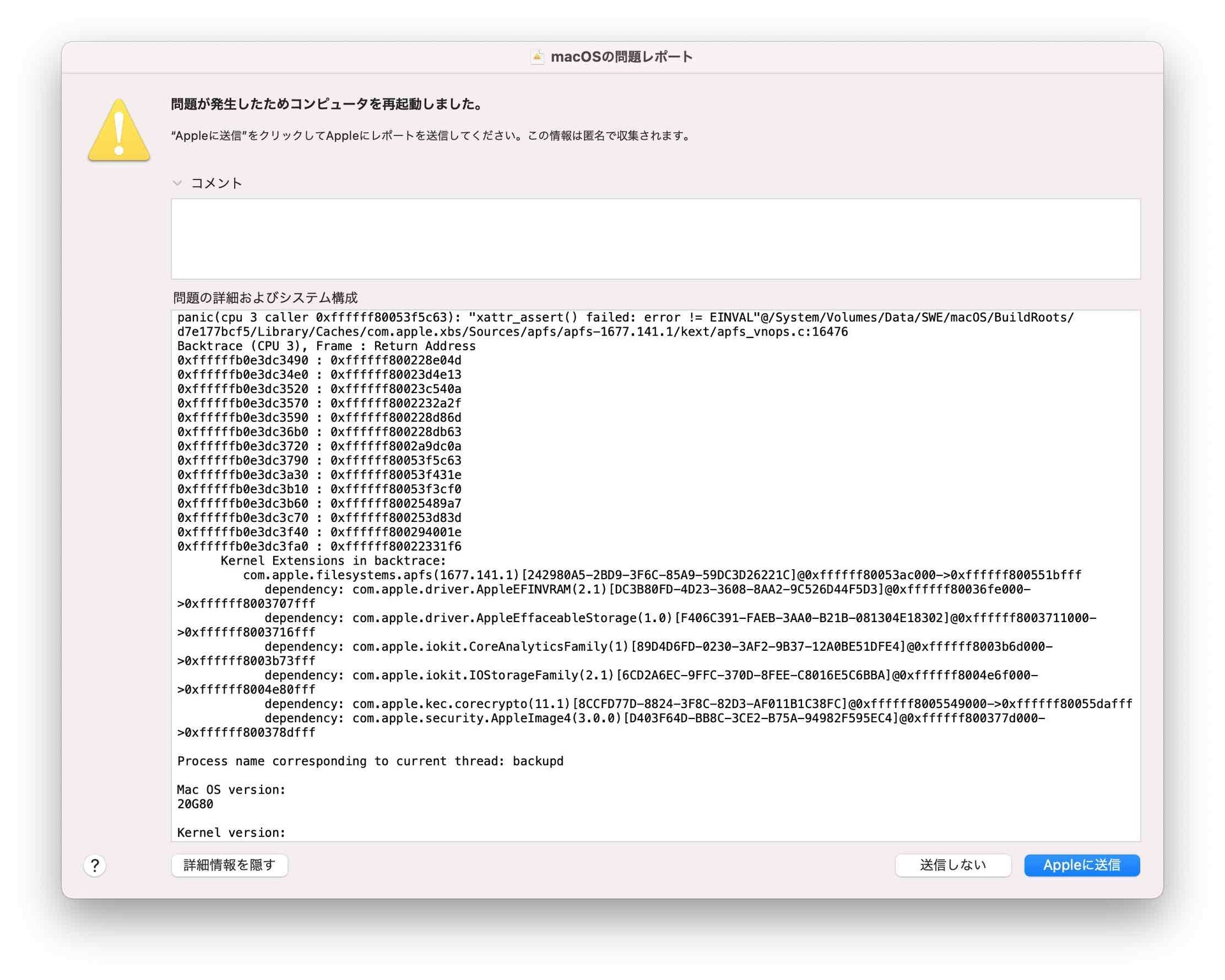 macos-big-sur-kernel-panic-report-2.jpg